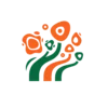 لیست